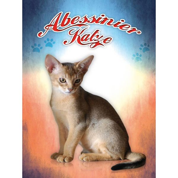 Vianmo Insegna In Legno 40X30 Cm Katze Abessinier Katze-image