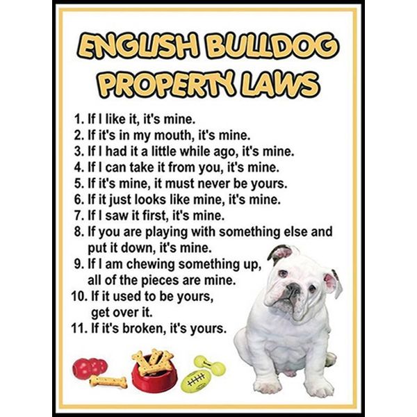 Vianmo Insegna In Legno 40X30 Cm English Bulldog Property Laws-image