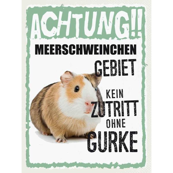 Vianmo Insegna In Legno 40X30 Cm Tiere Achtung Meerschweinchen-image