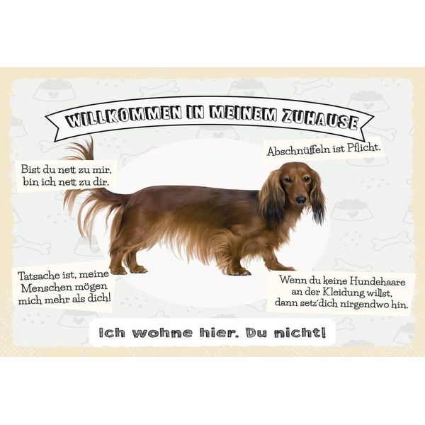 Vianmo Insegna In Legno 12X18 Cm Tiere Hund Ich Wohne Hier Du Nicht-image