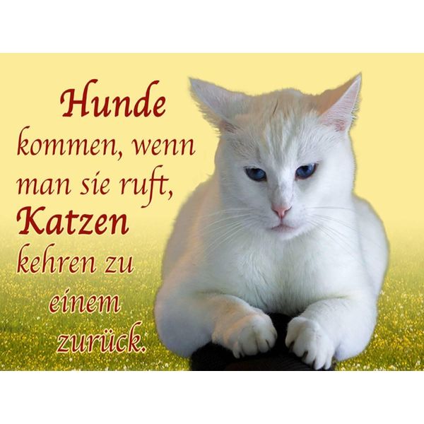 Vianmo Insegna In Legno 30X40 Cm Hunde Kommen Katzen Kehren ZurüCk-image