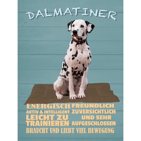 Vianmo Insegna In Legno 40X30 Cm Dalmatiner Hund Energisch Aktiv-image