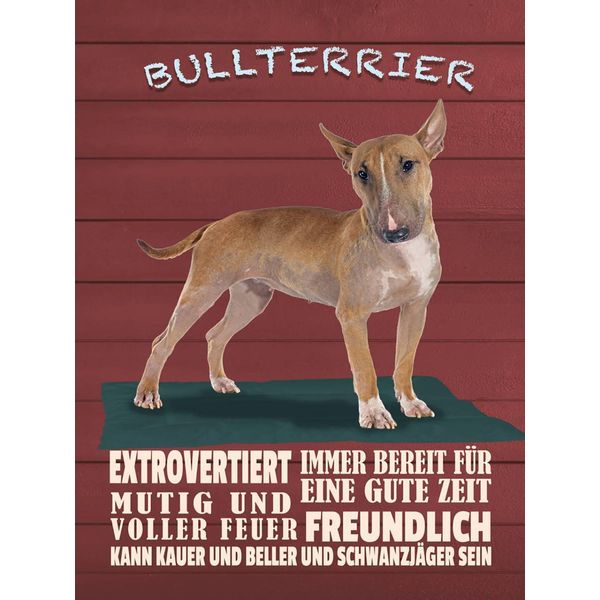 Vianmo Insegna In Legno 40X30 Cm Bullterrier Hund Immer Bereit-image
