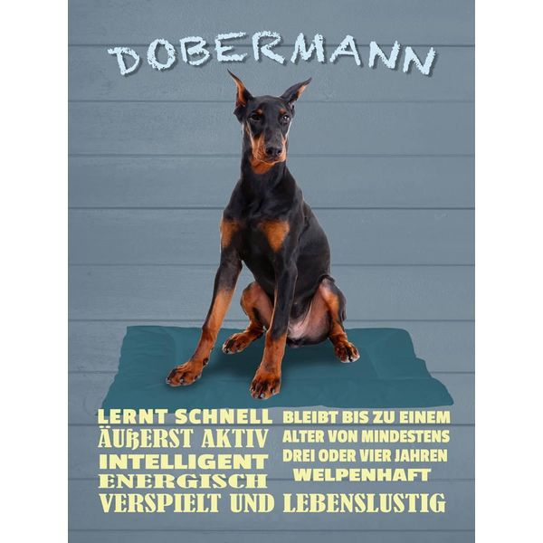 Vianmo Insegna In Legno 40X30 Cm Dobermann Lernt Schnell Hund-image