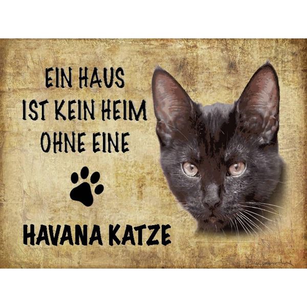 Vianmo Insegna In Legno 30X40 Cm Havana Katze Ohne Kein Heim-image