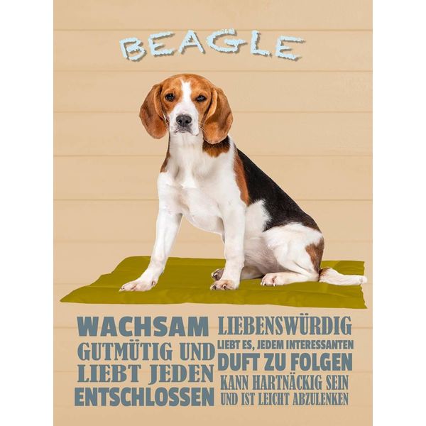 Vianmo Insegna In Legno 40X30 Cm Beagle Hund GutmüTig Liebt Jeden-image