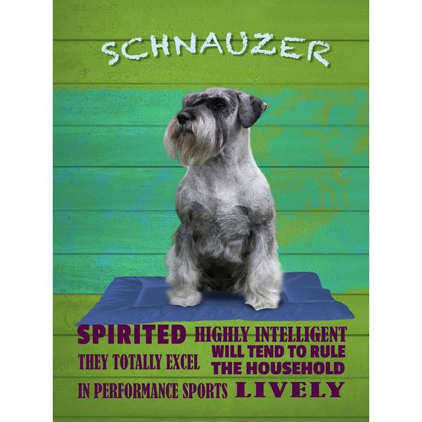 Vianmo Insegna In Legno 40X30 Cm Schnauzer Hund Highly Inelligent-image