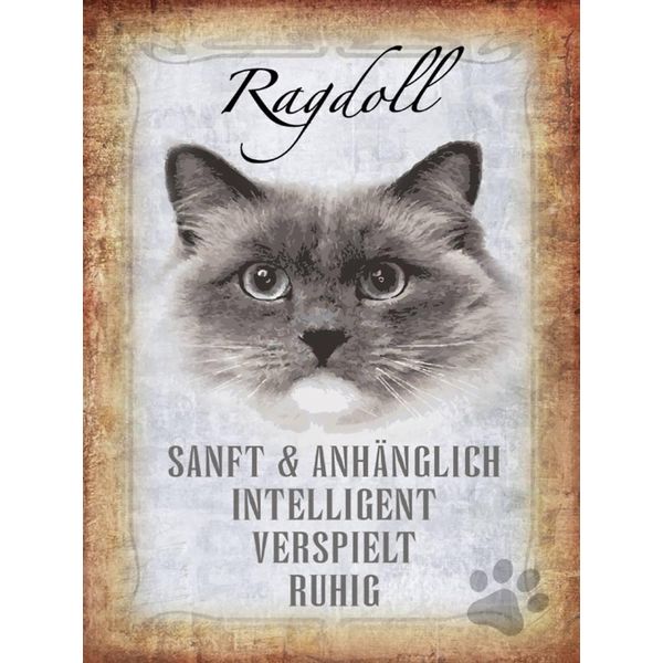 Vianmo Insegna In Legno 40X30 Cm Ragdoll Katze Sanft-image