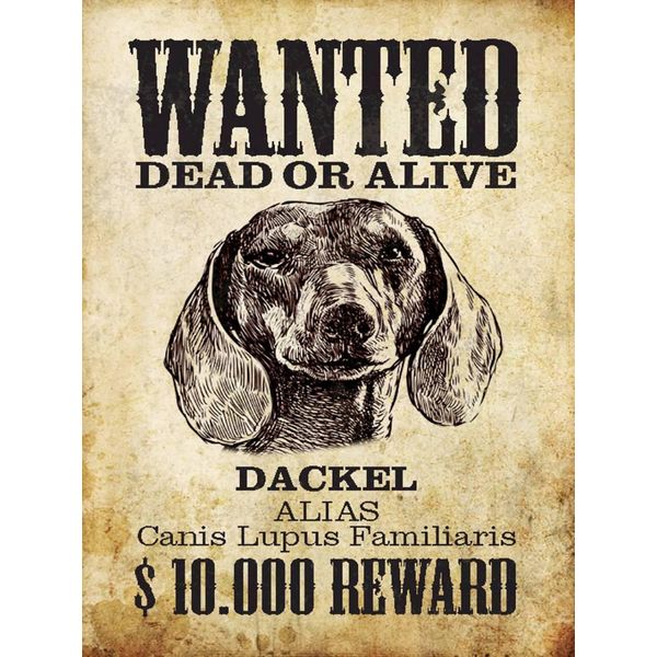 Vianmo Insegna In Legno 40X30 Cm Hund Wanted Dead Dackel Alias-image