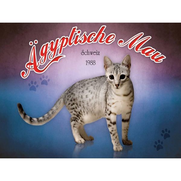Vianmo Insegna In Legno 30X40 Cm Katze ÄGyptische Mau Schweiz 1988-image