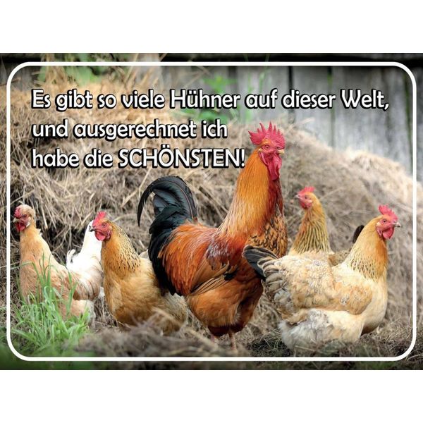 Vianmo Insegna In Legno 30X40 Cm Es Gibt So Viele HüHner Und-image