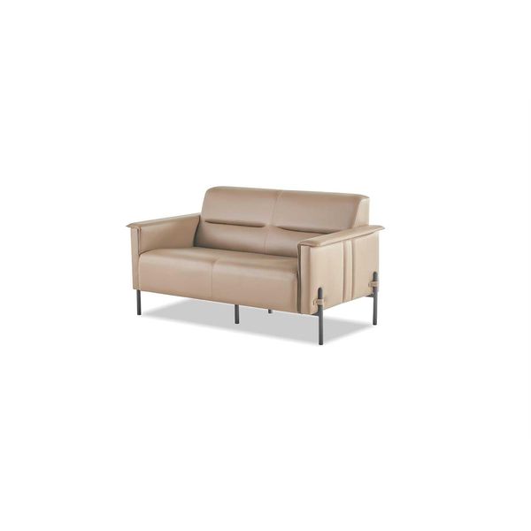 Divano Beige A 2 Posti Divano Moderno In Pelle Sedute A Due Posti In Pelle-image