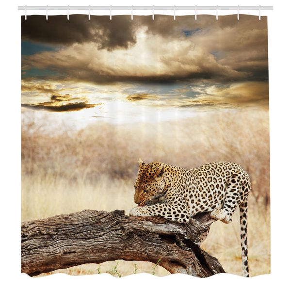 Abakuhaus Tenda Da Doccia Safari, Leopardo, Cielo Nuvoloso Drammatico Africa Safari Wild Cats Nature Immagine, Tessuto Set Decorativo Per Bagno Con Ganci, 175X200 Cm, Beige E Marrone-image