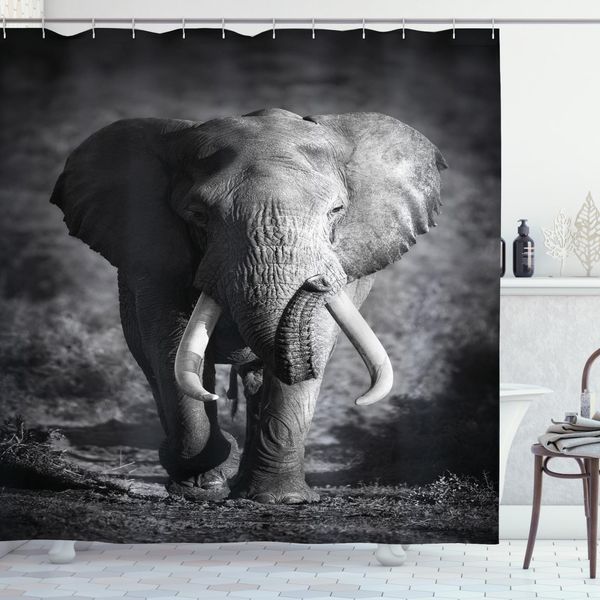 Abakuhaus Tenda Da Doccia Grigia, Elefante Esotico, Impermeabile, Incl. 12 Anelli, Resistente A Batteri E Muffe, 175 X 180 Cm, Grigio Scuro-image