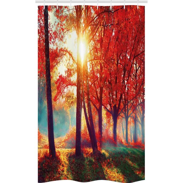 Abakuhaus Rosso Tenda Da Doccia Stretta, Foggy Parco Autunnale Panoramico, Set Decorativo Per Bagno In Tessuto Con Ganci, 120 X 180 Cm, Arancione Giallo Verde Acqua-image