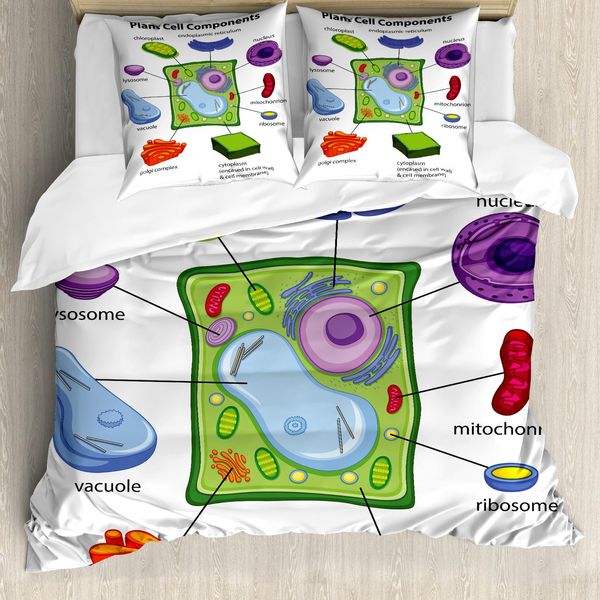 Abakuhaus Copripiumino Educativo, Cartoon Science, Antiacaro, Adatto A Chi Soffre Di Allergie, Con Federe, 155 Cm X 220 Cm - 80 X 80 Cm, Multicolore-image