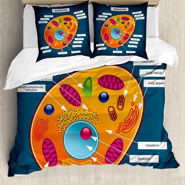 Abakuhaus Copripiumino Didattico, Scienza A Scuola, Antiacaro, Adatto A Chi Soffre Di Allergie, Con Federe, 200 Cm X 200 Cm - 80 X 80 Cm, Multicolore-image