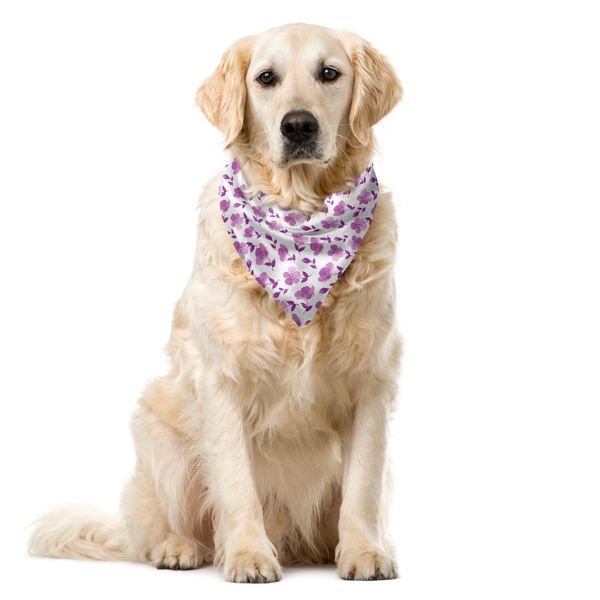 Abakuhaus Bandana Romantica Per Animali Domestici, Motivo Floreale Da Sposa, 40X40 Cm, Viola E Bianco-image