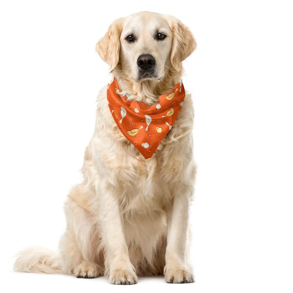 Abakuhaus Bandana Per Animali Domestici, Uccellini Con Cuori, 55X55 Cm, Arancione Giallo Bianco-image
