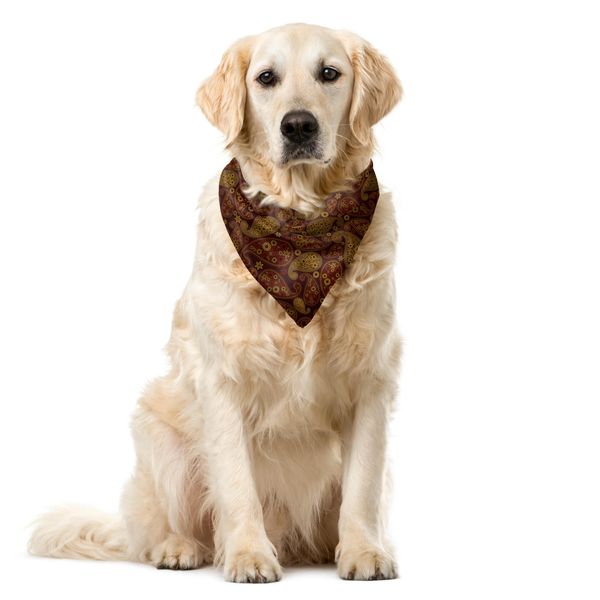 Abakuhaus Bandana Per Animali Domestici Paisley, Disegno Damasco Orientale, 40X40 Cm, Sequoia E Ambra-image