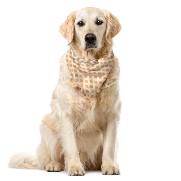 Abakuhaus Bandana Per Animali Domestici Arancione Marrone, Piastrelle Diagonali, 40X40 Cm, Arancione Chiaro-image