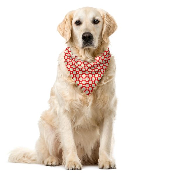Abakuhaus Bandana Per Animali Domestici, Grandi Pois Piccoli, 55X55 Cm, Rosso E Crema-image
