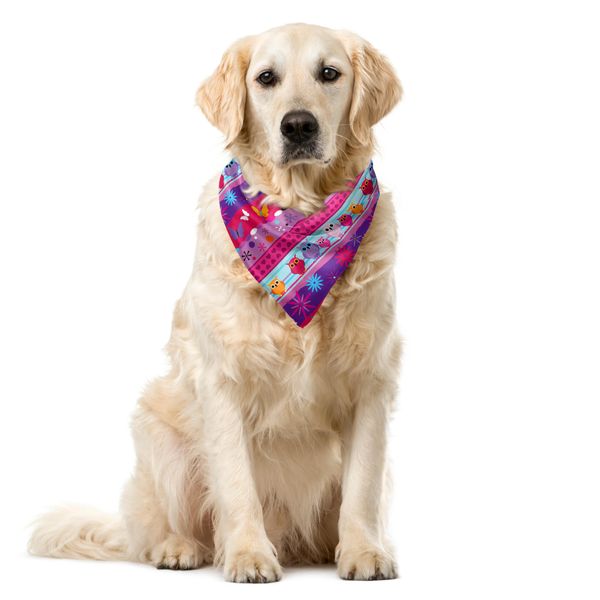 Abakuhaus Bandana Per Animali Domestici Con Gufo, Gufi E Fiori Cartoon, 40X40 Cm, Multicolore-image