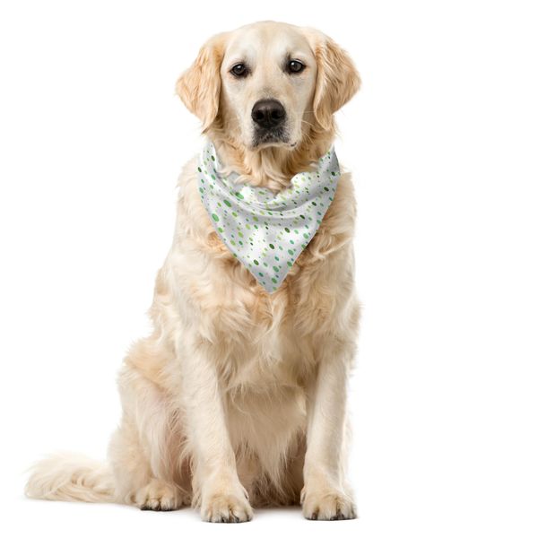 Abakuhaus Bandana Per Animali Domestici, Pois Verde Sfumato, 40X40 Cm, Verde Felce-image