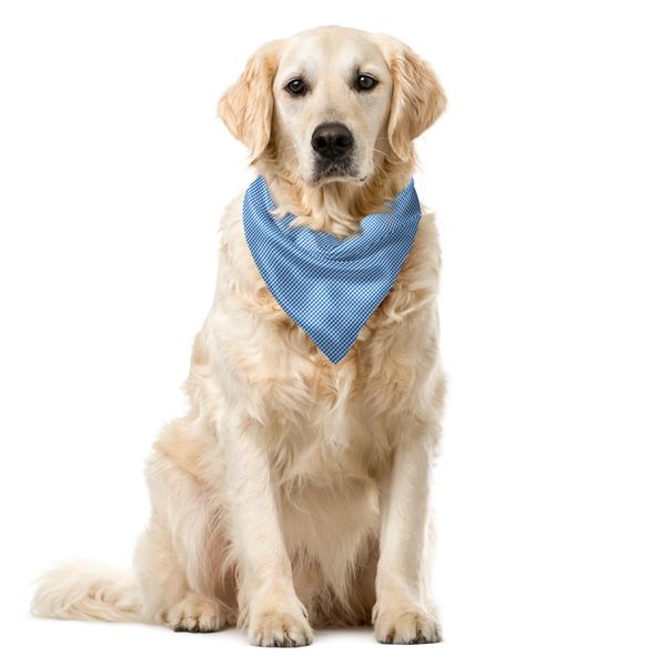 Abakuhaus Bandana A Quadri Per Animali Domestici, Gingham Monochrome, 40X40 Cm, Blu E Bianco-image
