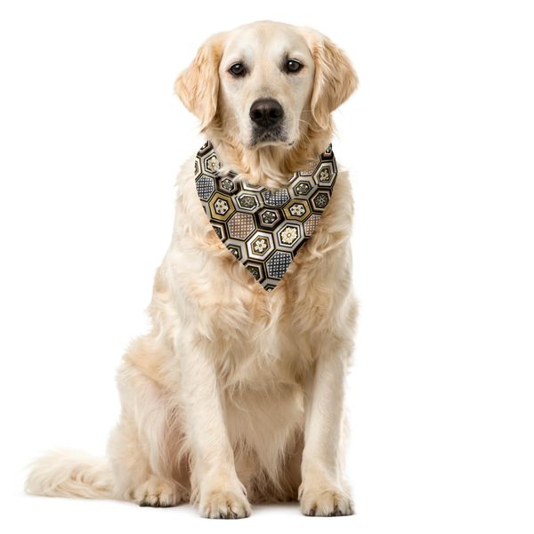 Abakuhaus Bandana Per Animali Domestici Con Fiori, Damasco Vittoriano Rococò, 40X40 Cm, Caffè Chiaro E Tortora Caldo-image