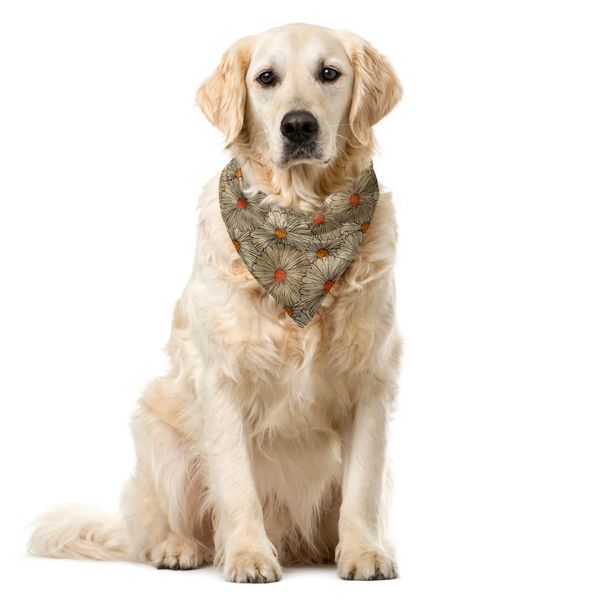 Abakuhaus Bandana Per Animali Domestici Vintage, Gerbere Fugaci, 40X40 Cm, Tan Arancione Marigold-image