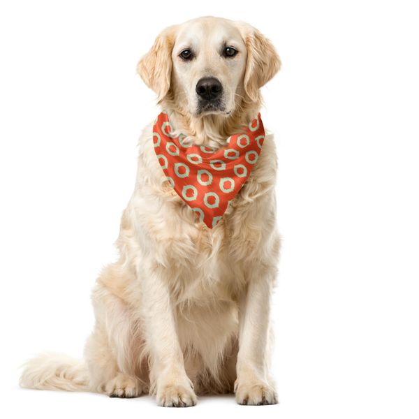 Abakuhaus Bandana Per Animali Domestici Ikat, Forme Ovali Grunge Vintage, 40X40 Cm, Arancione Beige-image