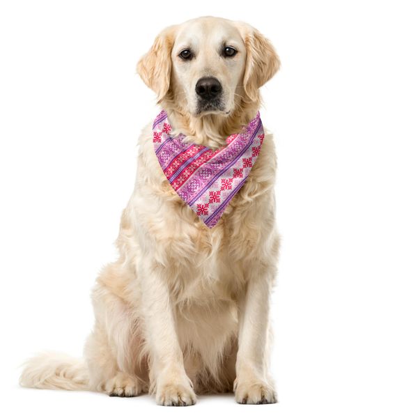 Abakuhaus Bandana Nordica Per Animali Domestici, Neve Geometrica Dicembre, 55X55 Cm, Viola Scuro Corallo Bianco-image