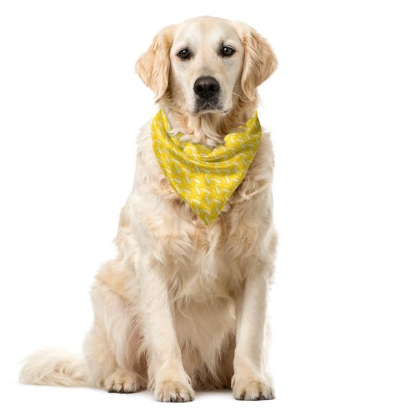 Abakuhaus Bandana Per Animali Domestici Gialla E Bianca, Campo Di Grano, 55X55 Cm, Terra Gialla Bianca-image