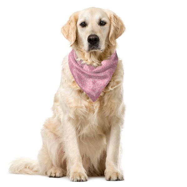 Abakuhaus Bandana Rosa E Bianca Per Animali Domestici, Motivo A Quadretti, 55X55 Cm, Rosa Pallido-image
