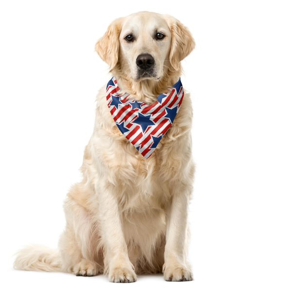 Abakuhaus 4 Luglio Bandana Per Animali Domestici, Disegno American Glory, 55X55 Cm, Blu Cobalto Vermiglio-image