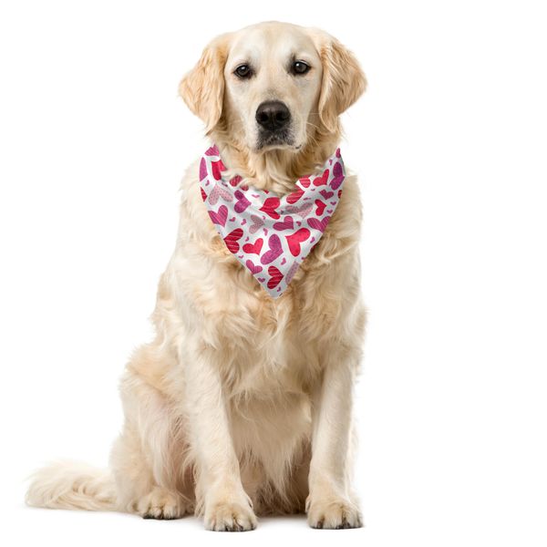 Abakuhaus Bandana Per Animali Domestici Di San Valentino, Affetto, 55X55 Cm, Rosa Rubino Rosa Essiccata-image