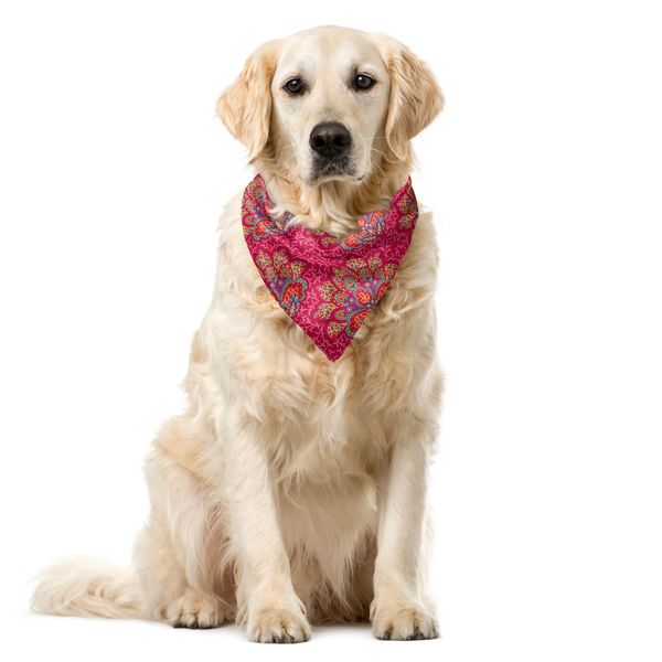 Abakuhaus Bandana Per Animali Domestici Lotus, Paisley Meridionali, 55X55 Cm, Multicolore-image