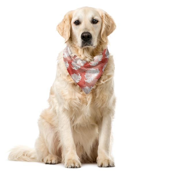 Abakuhaus Bandana Per Animali Domestici Antiquity, Motivo Floreale Barocco Astratto, 55X55 Cm, Salmone-Corallo E Bianco-image