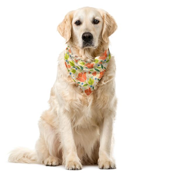 Abakuhaus Bandana Per Animali Domestici Olandese, Tulipani Primaverili Colorati, 40X40 Cm, Multicolore-image