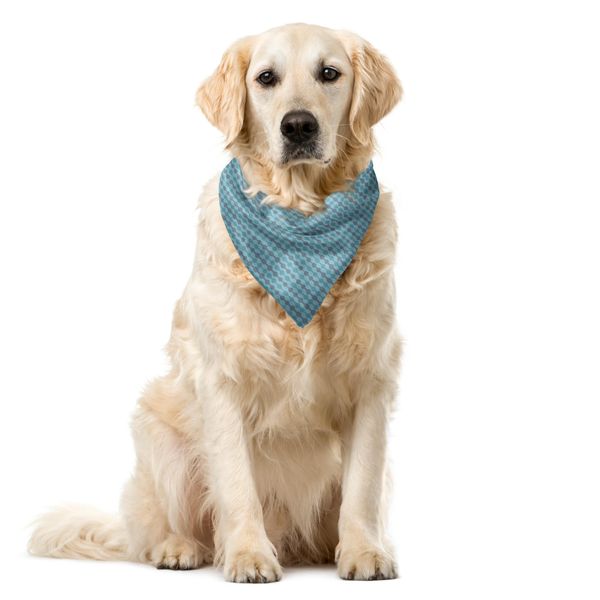 Abakuhaus Bandana Per Animali Domestici Grigio Blu, Motivo Astratto Doodle, 55X55 Cm, Grigio E Turchese-image