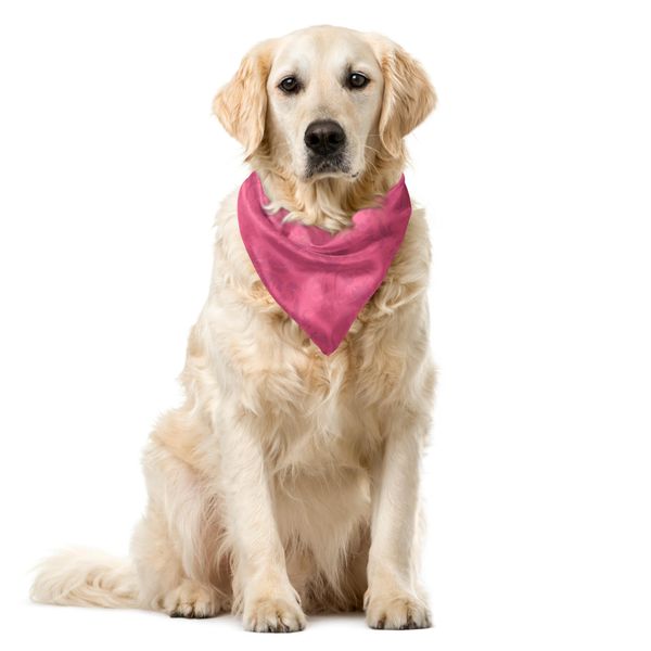 Abakuhaus Bandana Damascata Per Animali Domestici, Motivo Floreale Barocco, 55X55 Cm, Rosa Pallido Rosa Essiccata-image
