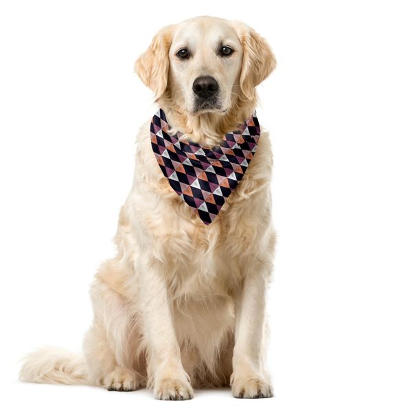 Abakuhaus Bandana Etnica Per Animali Domestici, Boho Argyle Retro Scarabocchiato, 55X55 Cm, Multicolore-image