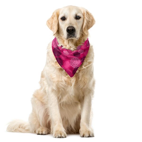 Abakuhaus Bandana Per Animali Domestici Dahlie, Bouquet Di Fiori Di Stagione, 40X40 Cm, Rosa E Viola Scuro-image