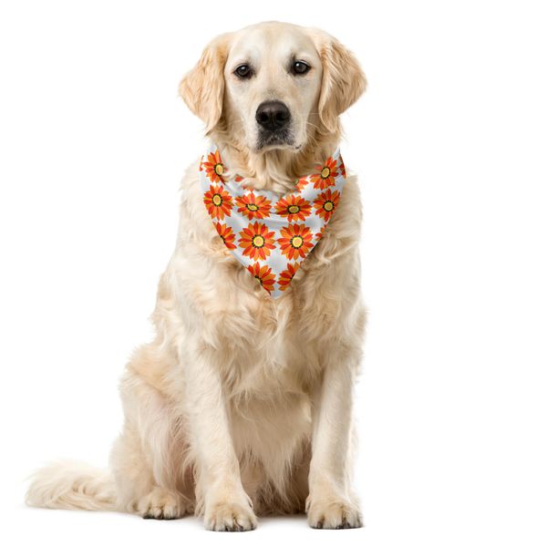 Abakuhaus Bandana Per Animali Domestici Dahlie, Motivo Floreale, Tonalità Autunnali, 55X55 Cm, Rosso Arancio E Giallo-image