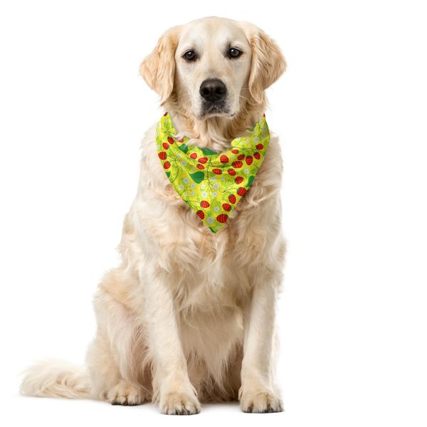 Abakuhaus Bandana Per Animali Domestici Con Motivo Fragole, Fiori Primaverili E Frutti, 40X40 Cm, Verde Mela Vermiglio-image