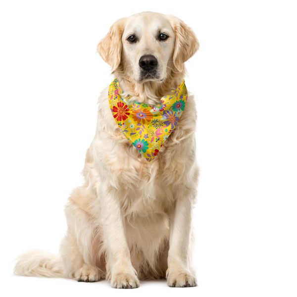 Abakuhaus Bandana Per Animali Domestici Con Motivo Dahlia, Fiori Primaverili Childish Art, 55X55 Cm, Multicolore-image