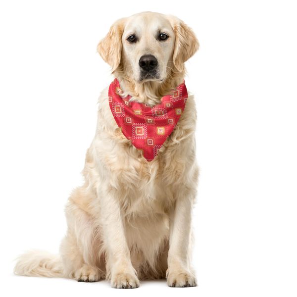 Abakuhaus Bandana Per Animali Domestici, Motivi Boho A Zig Zag E Rombi, 55X55 Cm, Beige Corallo-image