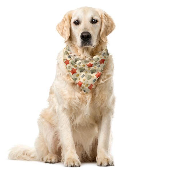 Abakuhaus Bandana Per Animali Domestici, Motivo Doodle Coastal Items, 55X55 Cm, Multicolore-image