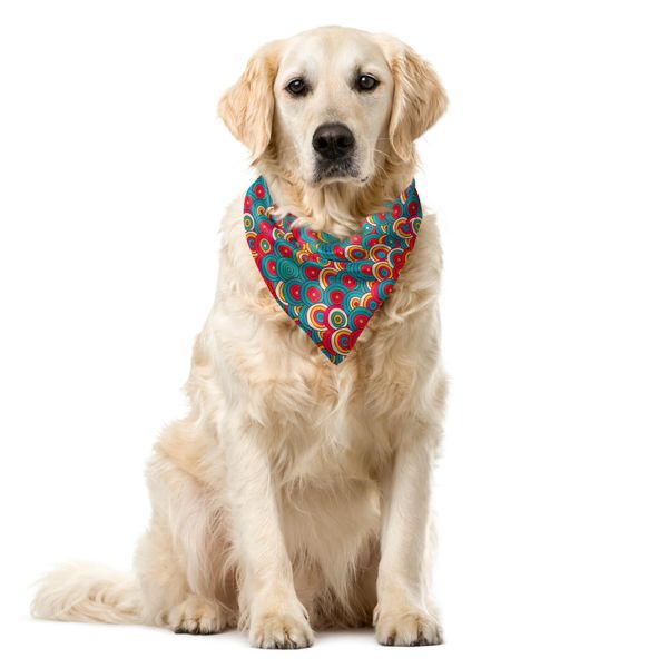 Abakuhaus Bandana Astratta Per Animali Domestici, Cerchi Colorati Intricati, 40X40 Cm, Calendula Corallo Scuro-image